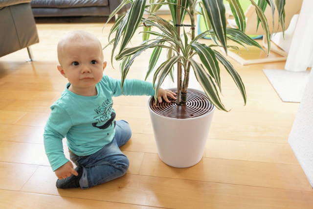 ABUS Plant protector, 2 pcs.