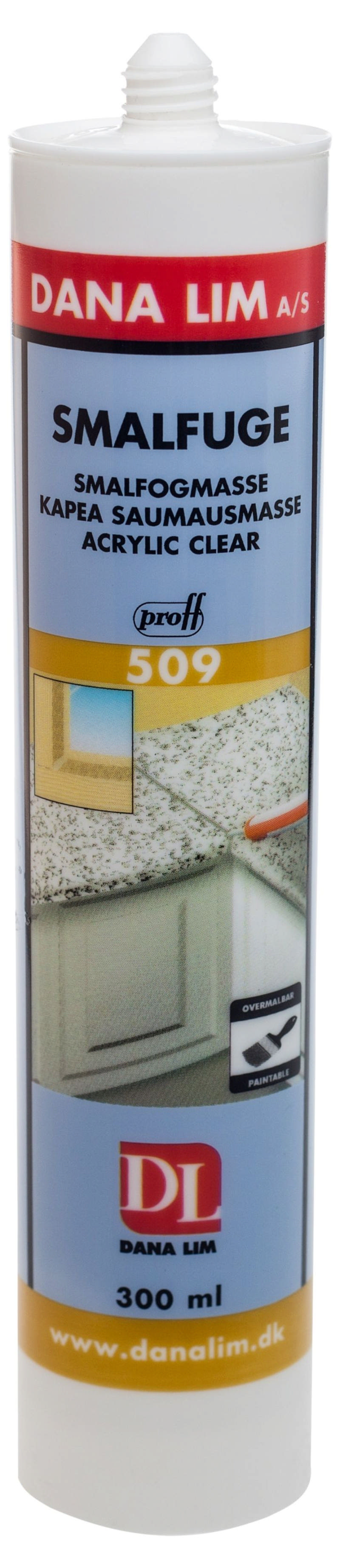 Dana Narrow sealant 509 Transparent 300 ml