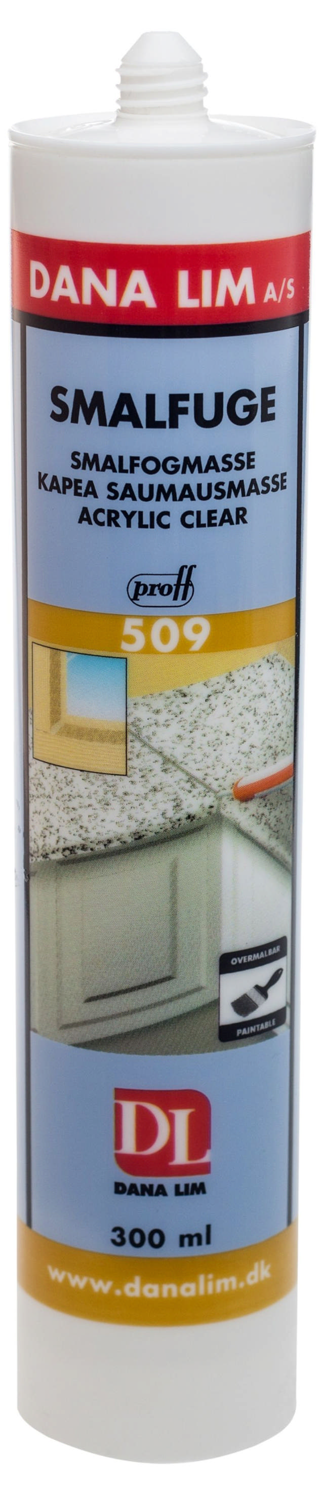 Dana Narrow sealant 509 Transparent 300 ml