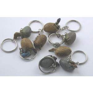 Dinosaur egg w/key ring
