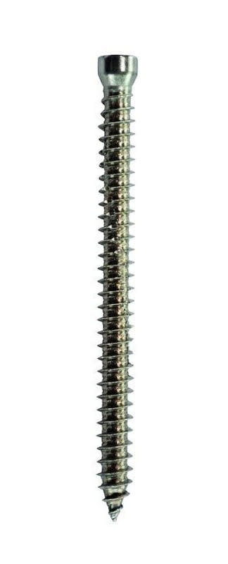 EXP concrete screw stainless A2 w/head