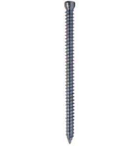 EXP concrete screw w/head