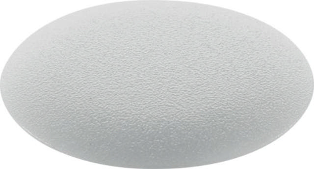 Festool Cover cap KV-AK D15 gr/50